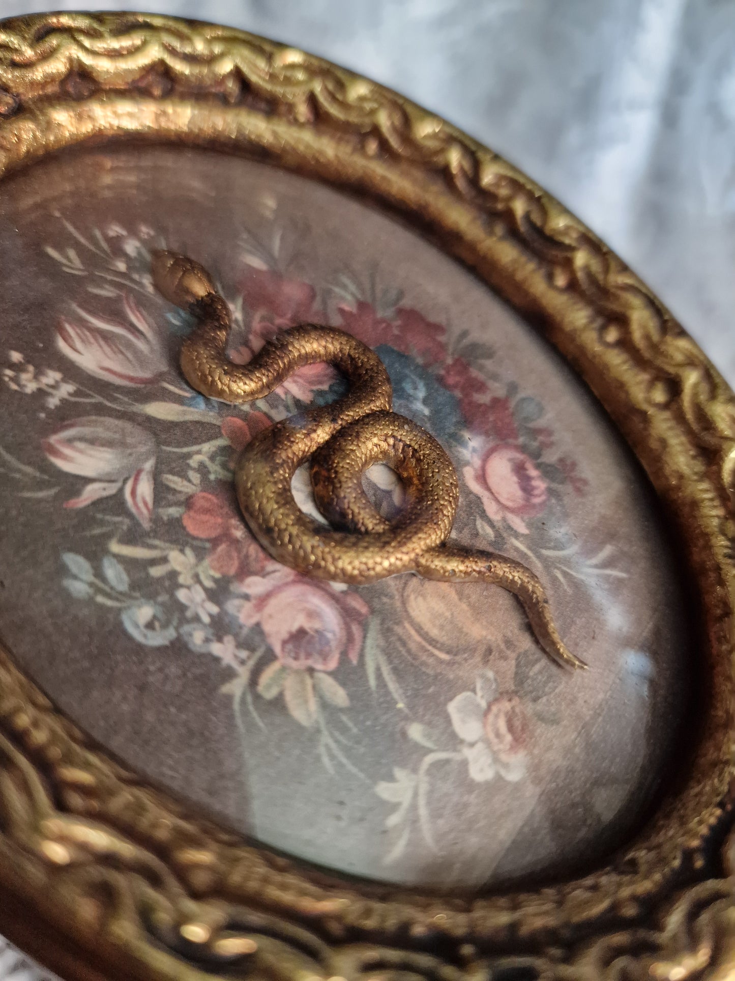 Gardens of Serpentina: Frame #1