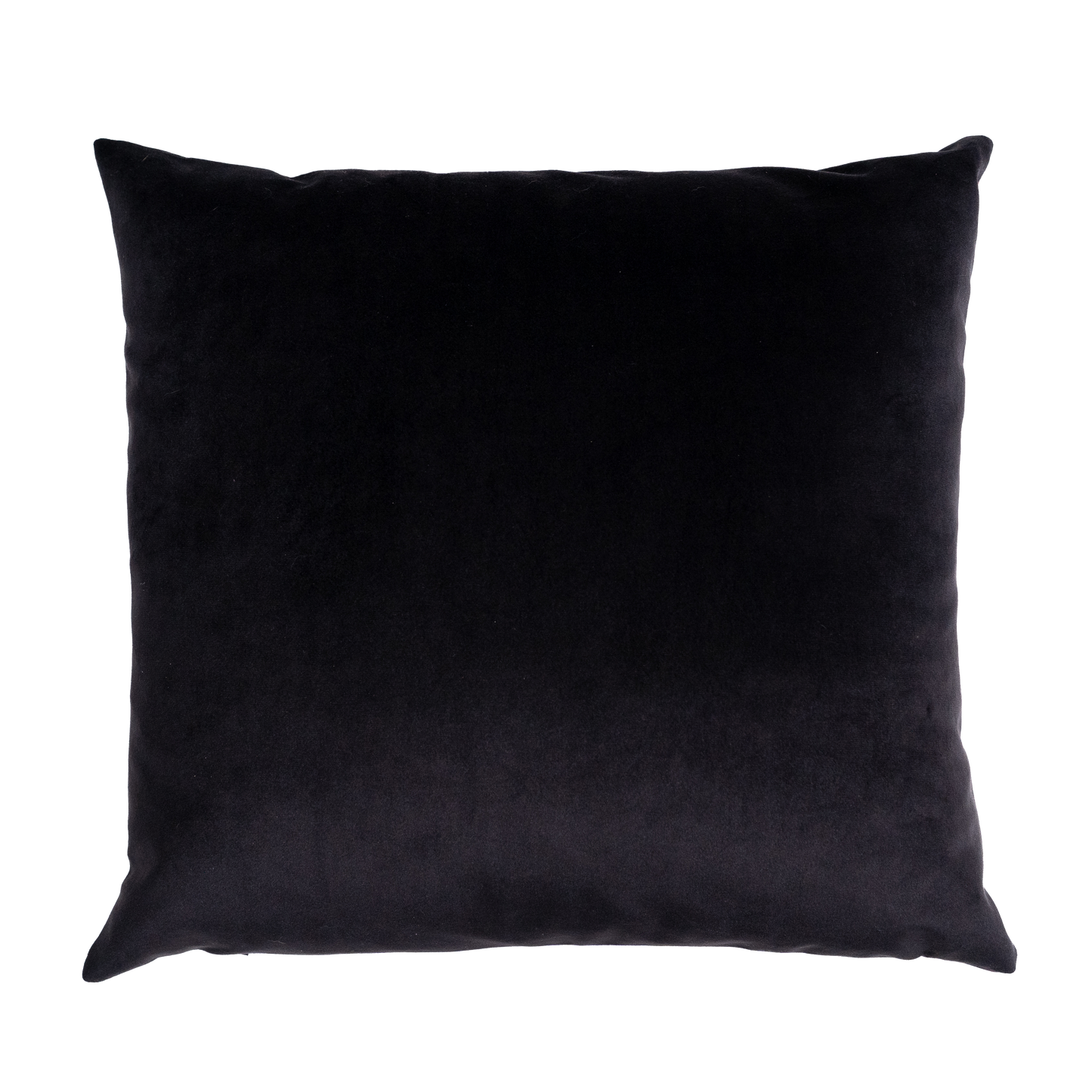Into The Dark: Swans Velvet Cushion Cover