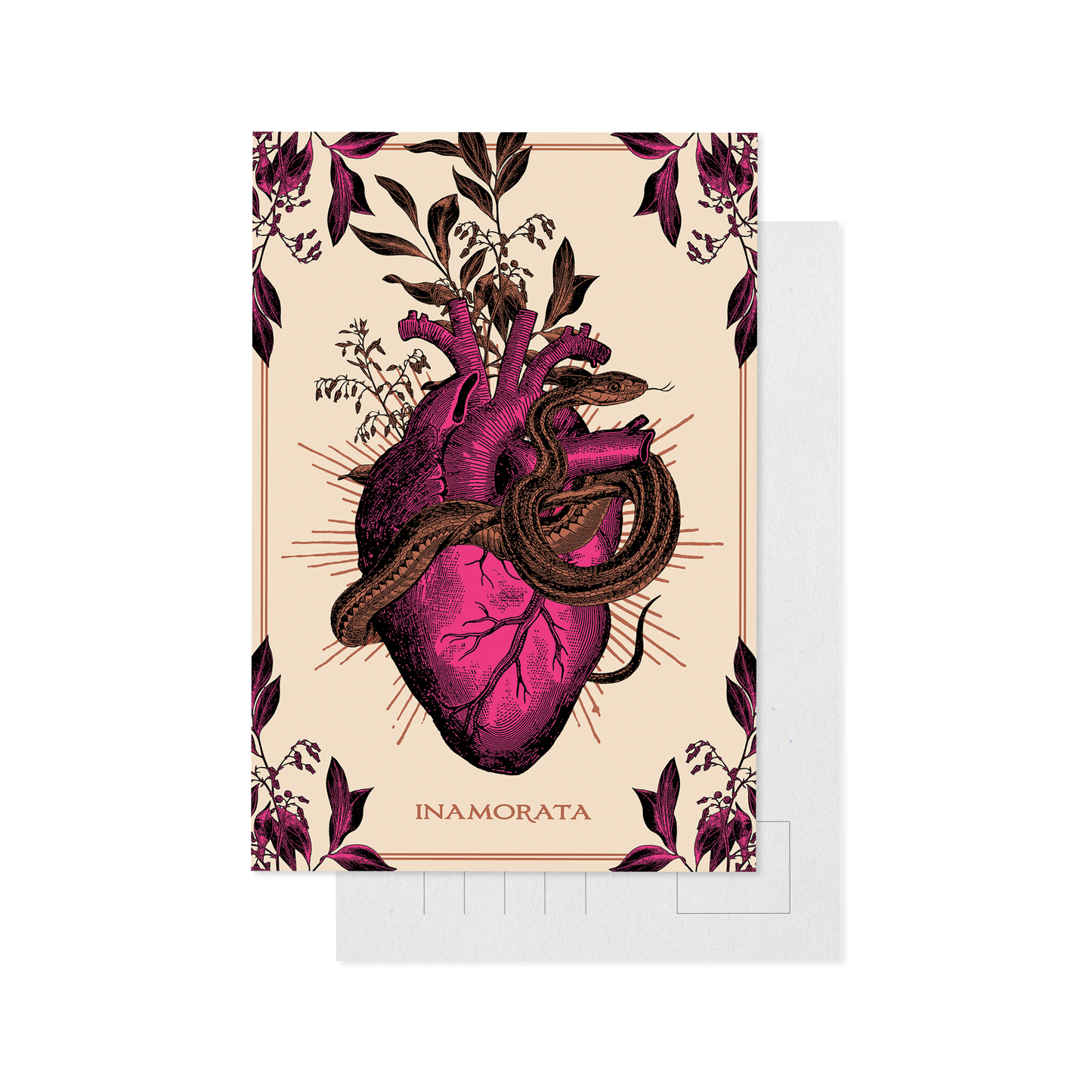 Serpent Postcard Pack