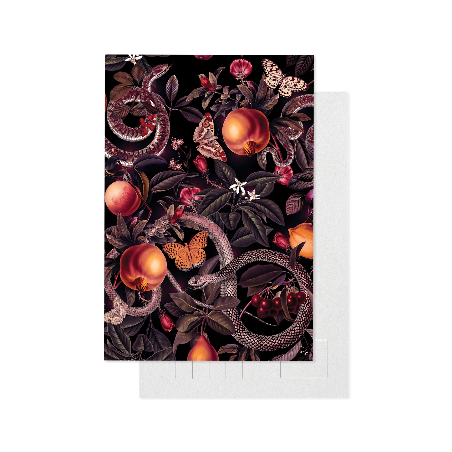 Serpent Postcard Pack