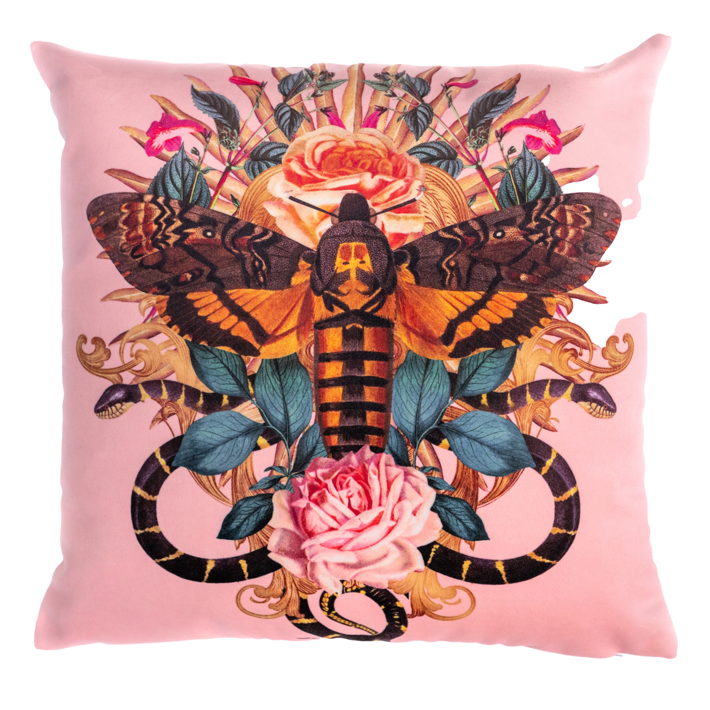 Death's head Moth Velvet Cushion Cover